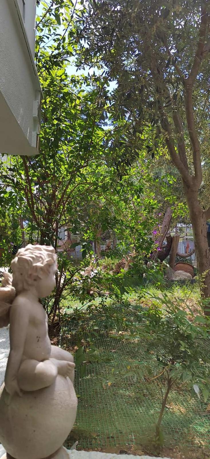 Appartement House Of Artemis E In Asprovalta *